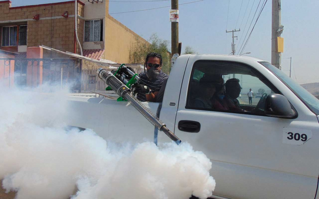 Désinsectisation - Pest Control